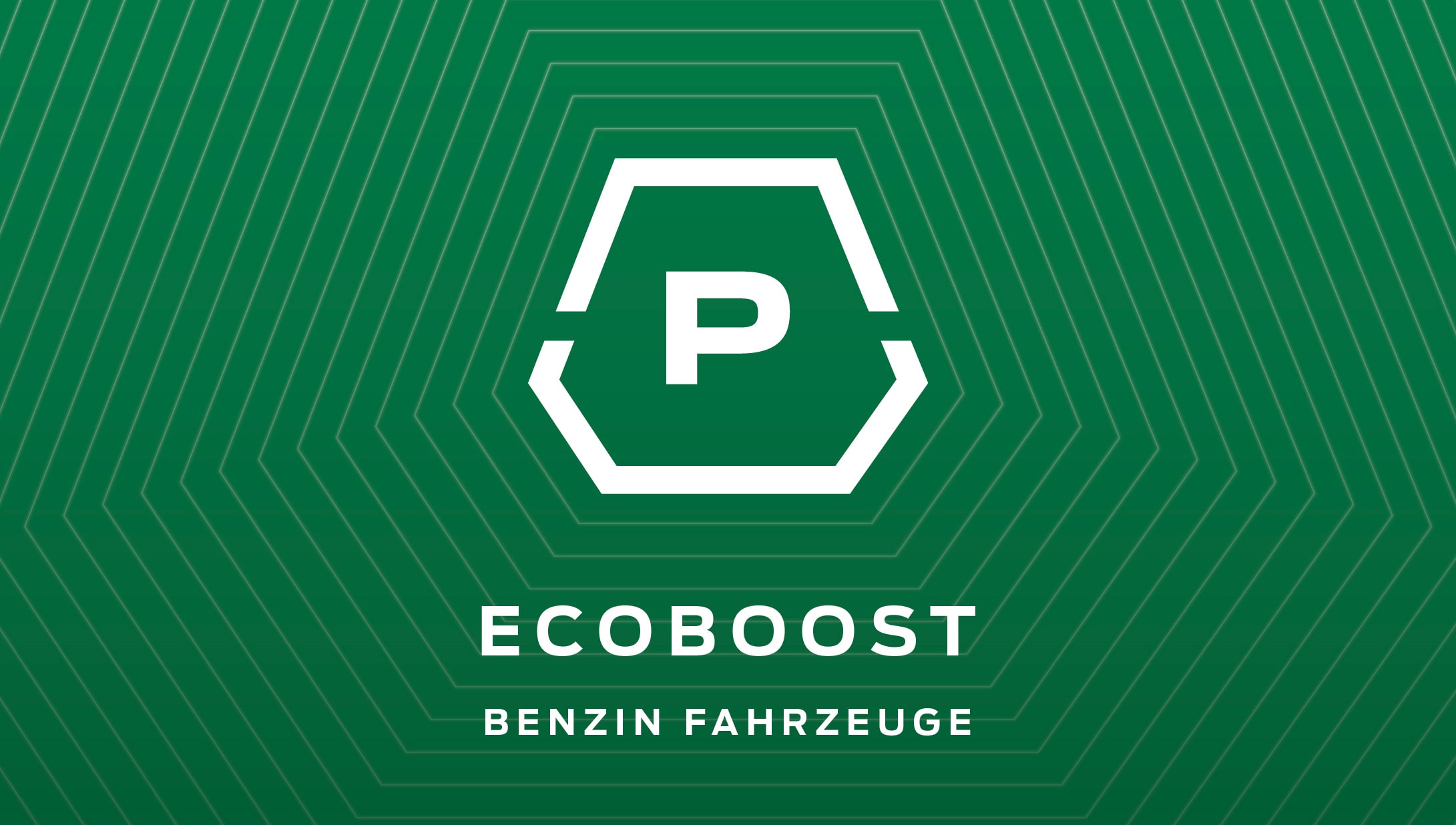Ecoboost Icon