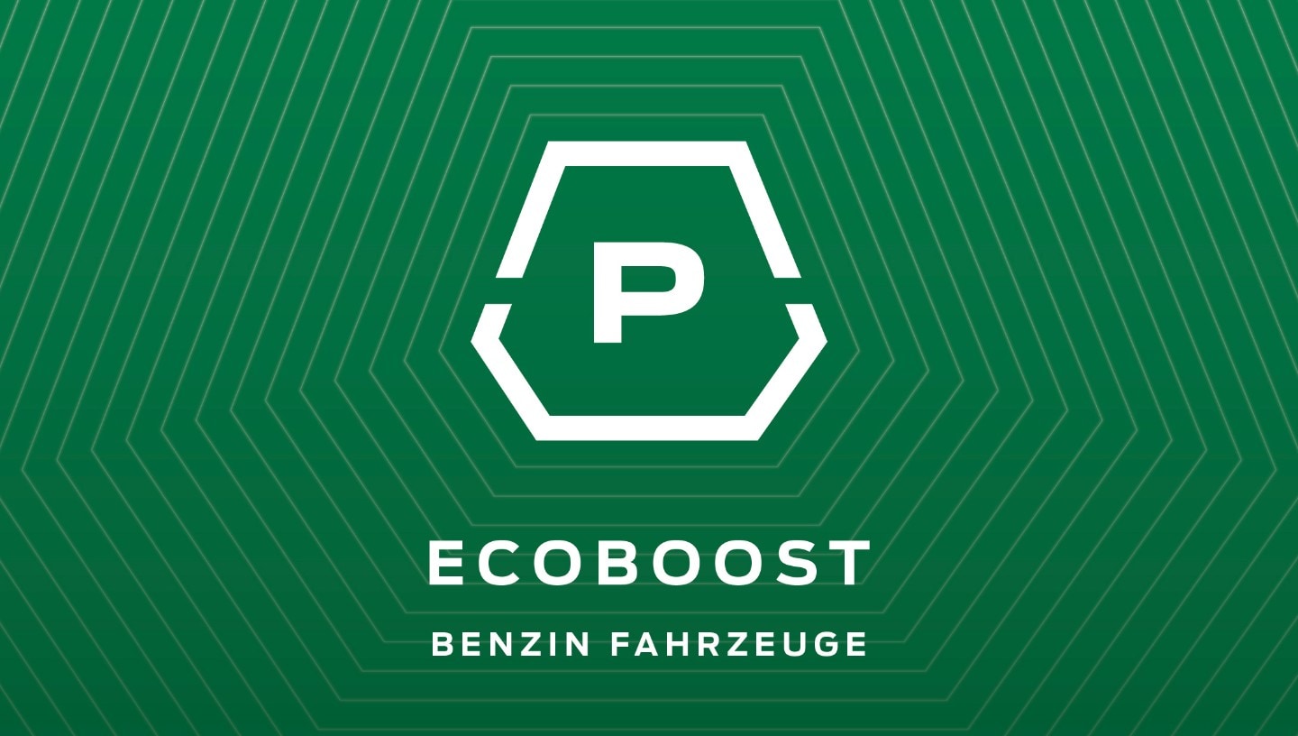 Ecoboost Icon