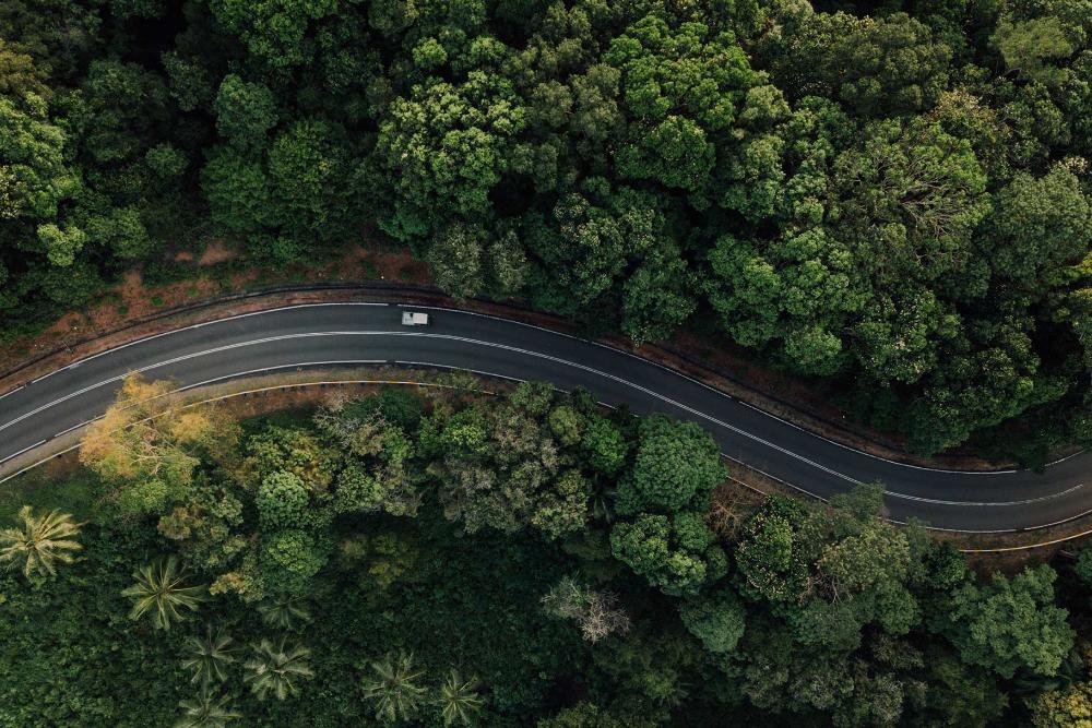 Strasse im Wald Ansicht aus der Vogelperspektive