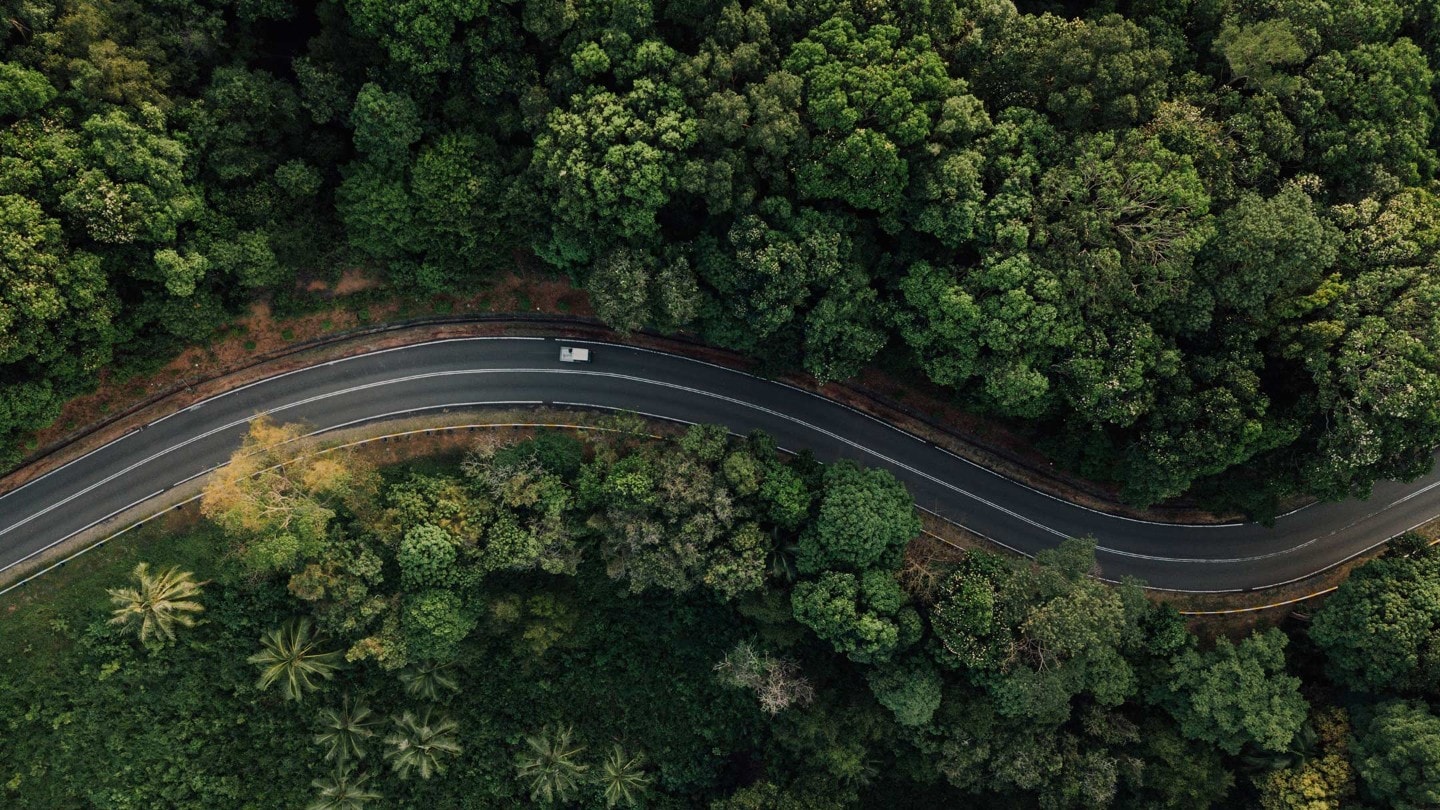 Strasse im Wald Ansicht aus der Vogelperspektive