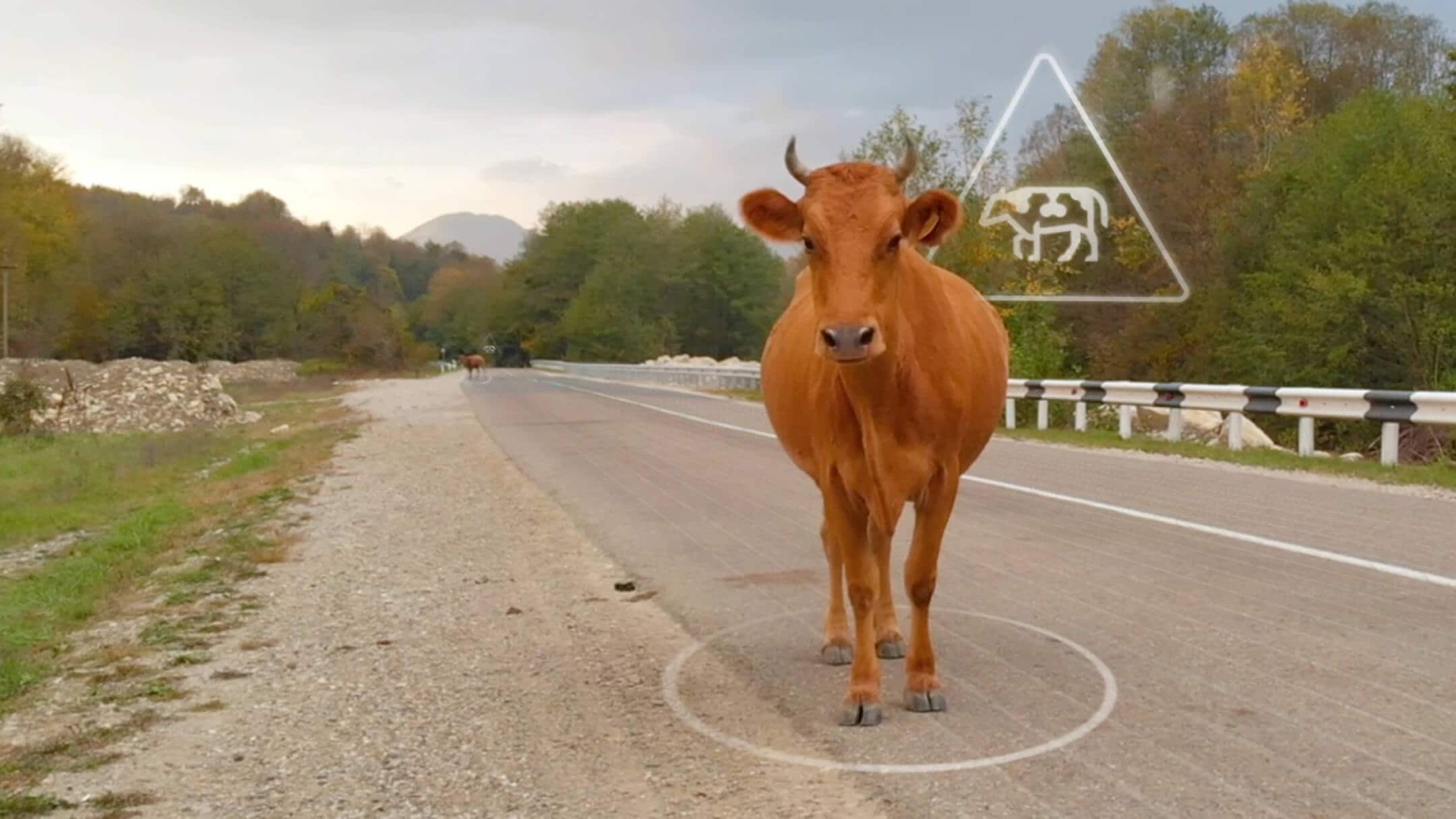 Eine Kuh steht auf einer Landstrasse mit animierter Gefahrenhinweis-Grafik
