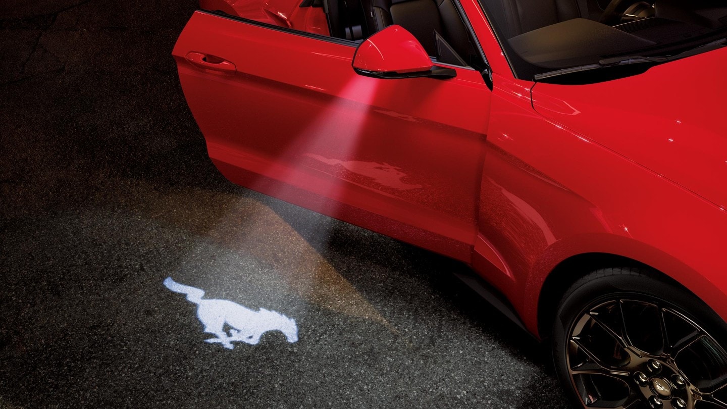 Mustang-Pony-Bild wird von Licht reflektiert