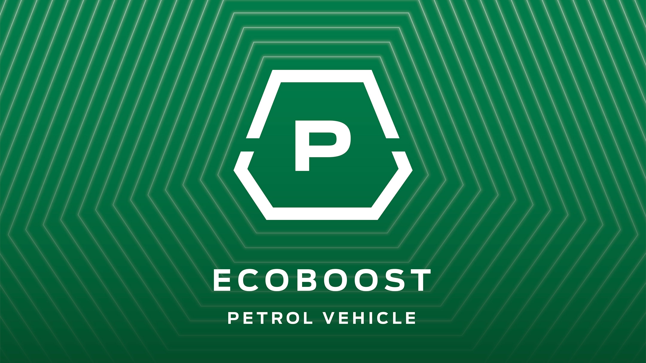 EcoBoost Benzinmotor Symbol